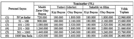 özel güvenlik teminatlar