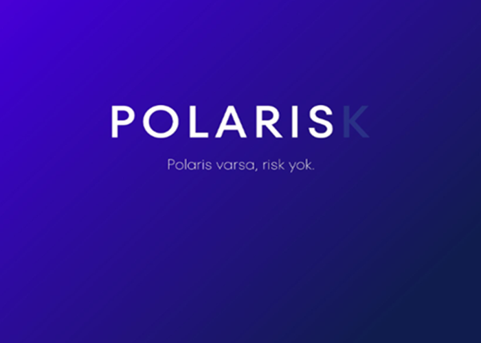 Polaris Sigorta Sanat Eserleri Sigortasına Yoğunlaşıyor